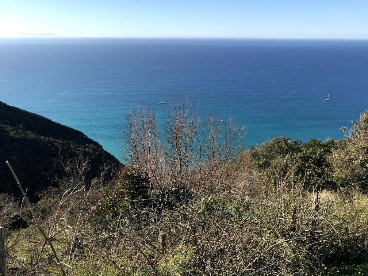 Residenza Le Mura Apartment Montescudaio