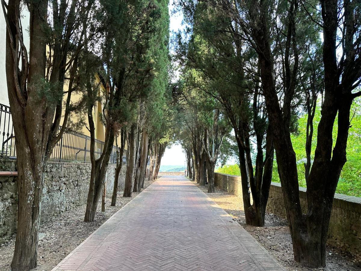Residenza Le Mura Apartment Montescudaio